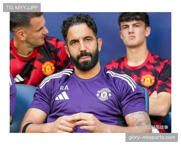 布莱顿球队转会最新进展