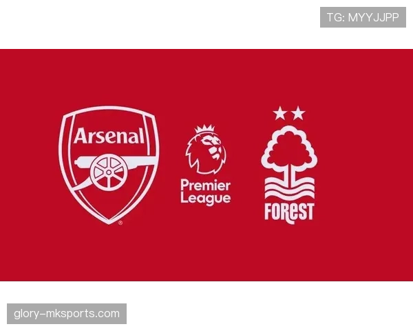 帕利尼亚 vs 赖斯：覆盖能力与全面性的对比